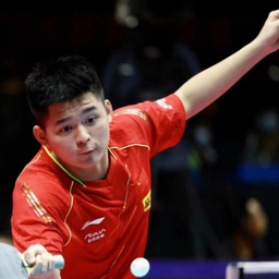 仅仅是卡多 仅仅是卡多