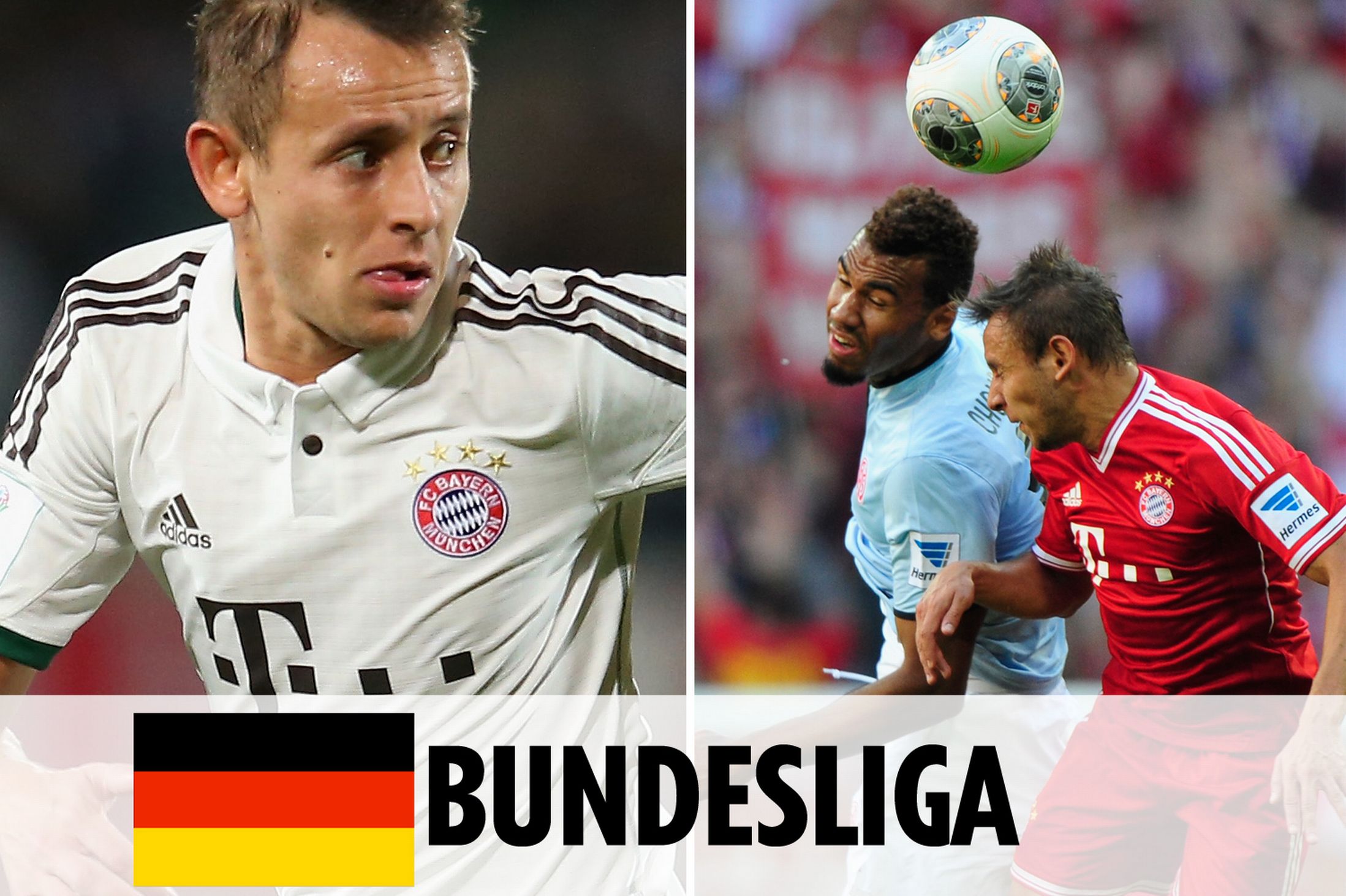 重要因素 重要因素